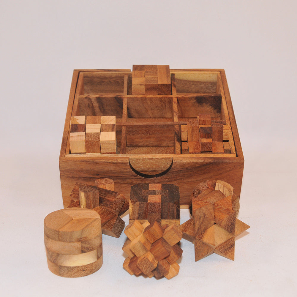 Coffret cadeau 9 jeux casse-tête en bois niveau 3, défi logique ado adulte à partager