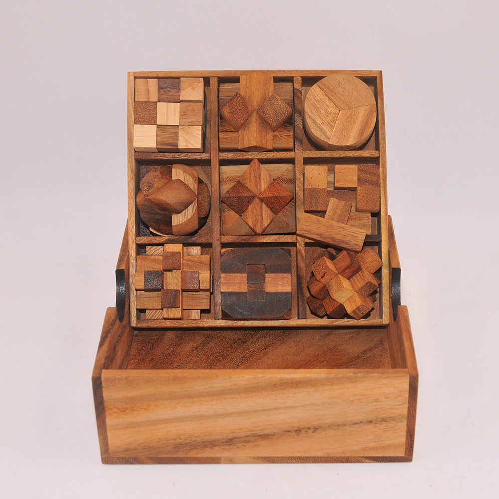 Coffret cadeau 9 jeux casse-tête en bois niveau 3, défi logique ado adulte à partager